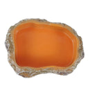 Tigela de água e alimento  para répteis, prato de terrário, alimentador de répteis, tigela de alimentação para anfíbios, sapo, camaleão, tartaruga, dragão barbado, tartaruga